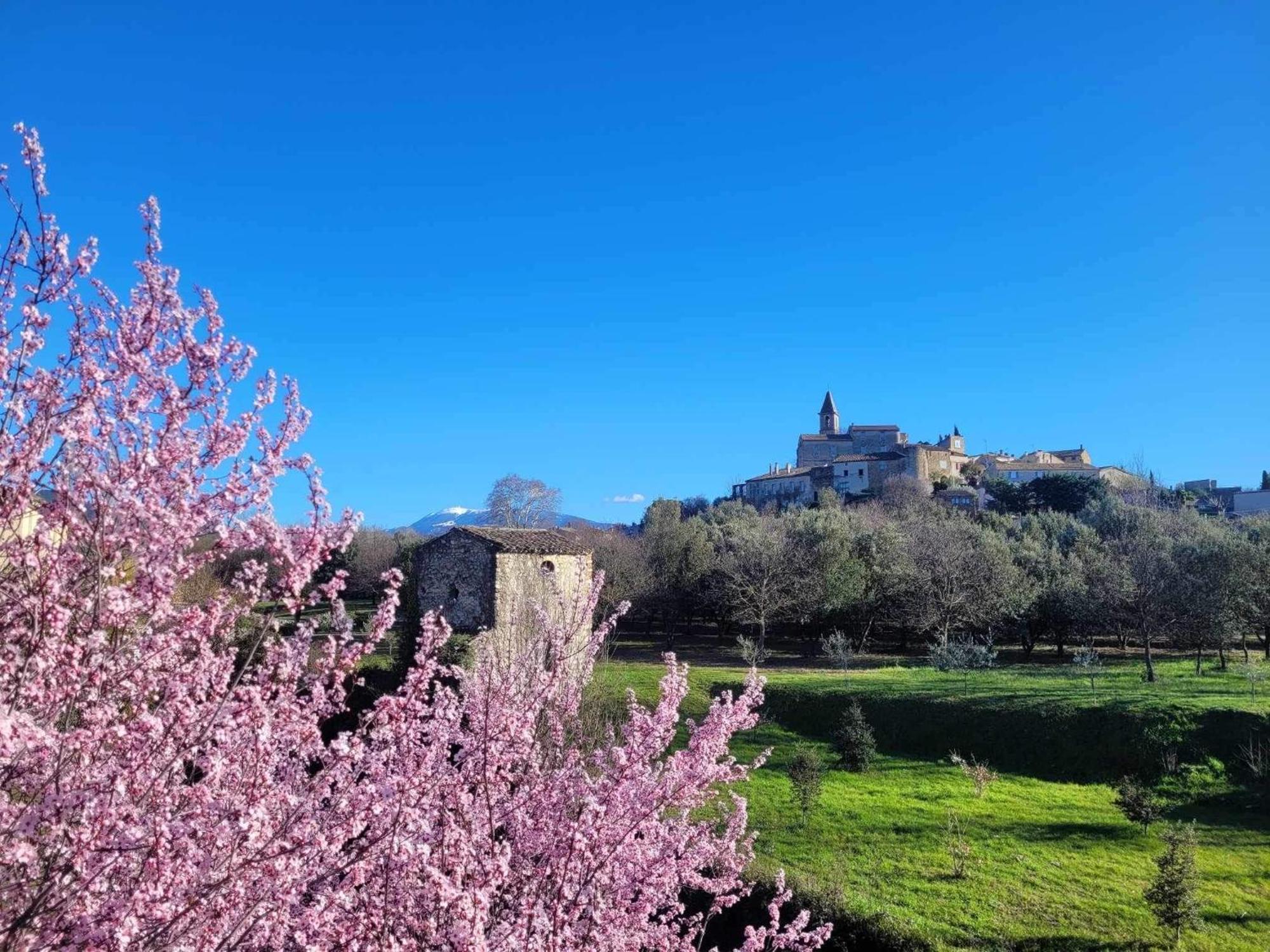 Provencale